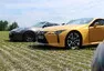 Report KaK Brno vol. 45: Pohoda v přírodě u Masarykova okruhu