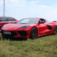 Report KaK Brno vol. 45: Pohoda v přírodě u Masarykova okruhu