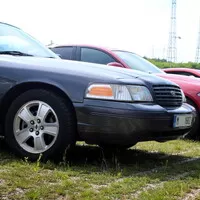 Report KaK Brno vol. 45: Pohoda v přírodě u Masarykova okruhu