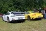Report KaK Brno vol. 45: Pohoda v přírodě u Masarykova okruhu