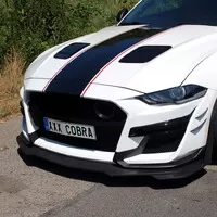 Foto: Tomáš Strach