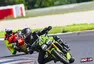 Okruhová motosezóna 2024: Lov bílé velryby