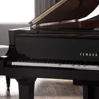 Zdroj: Yamaha