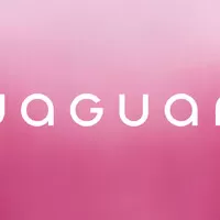 zdroj: Jaguar