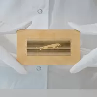 zdroj: Jaguar