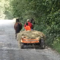 Gumbalkán 2024 – jedeme, část 2