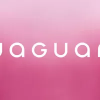 zdroj: Jaguar