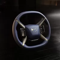 zdroj: DS Automobiles