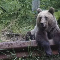 Gumbalkán 2024 – jedeme, část 3
