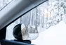 Foto: se svolením Volvo, tisková fotografie