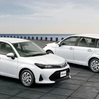 Toyota Corolla Fielder, Foto: Toyota, tisková fotografie