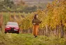 foto: se svolením Alfa Romeo