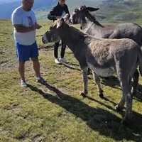 Gumbalkán 2024 – jedeme, část 4