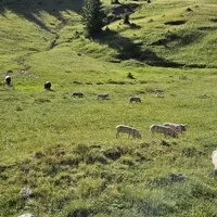 Gumbalkán 2024 – jedeme, část 4