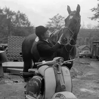se svolením: Golden Age of Show Jumping