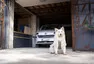 foto: se svolením Volkswagen