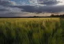Foto: Honza Křeček, Autíčkář.cz