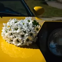 Mazda MX-5 - Auto, které nezapomnělo, k čemu auta jsou.