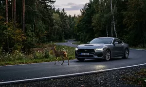 Život Autíčkáře: Srážka se zvěří? V dubnu je riziko vysoké a správný postup vám ušetří obrovské částky