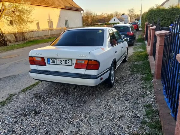 Obrázek v komentáři