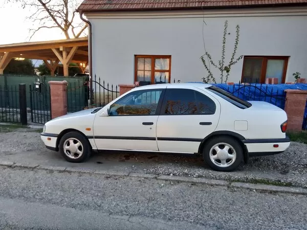 Obrázek v komentáři
