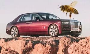 Buřty, kořenky i domky pro netopýry. Tohle je 5 nejbizarnějších vedlejšáků automobilových značek