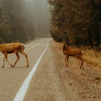 Foto: Unsplash.com