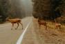 Foto: Unsplash.com