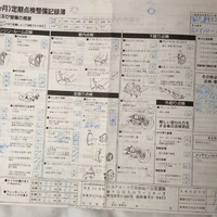 Protokol z japonské STK