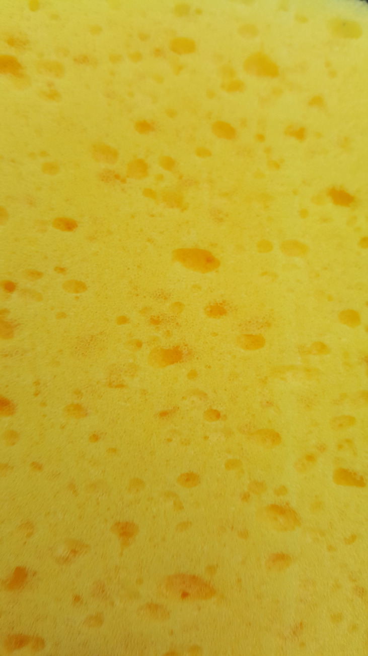 Póry u houby, kde se zachytávají nečistoty.