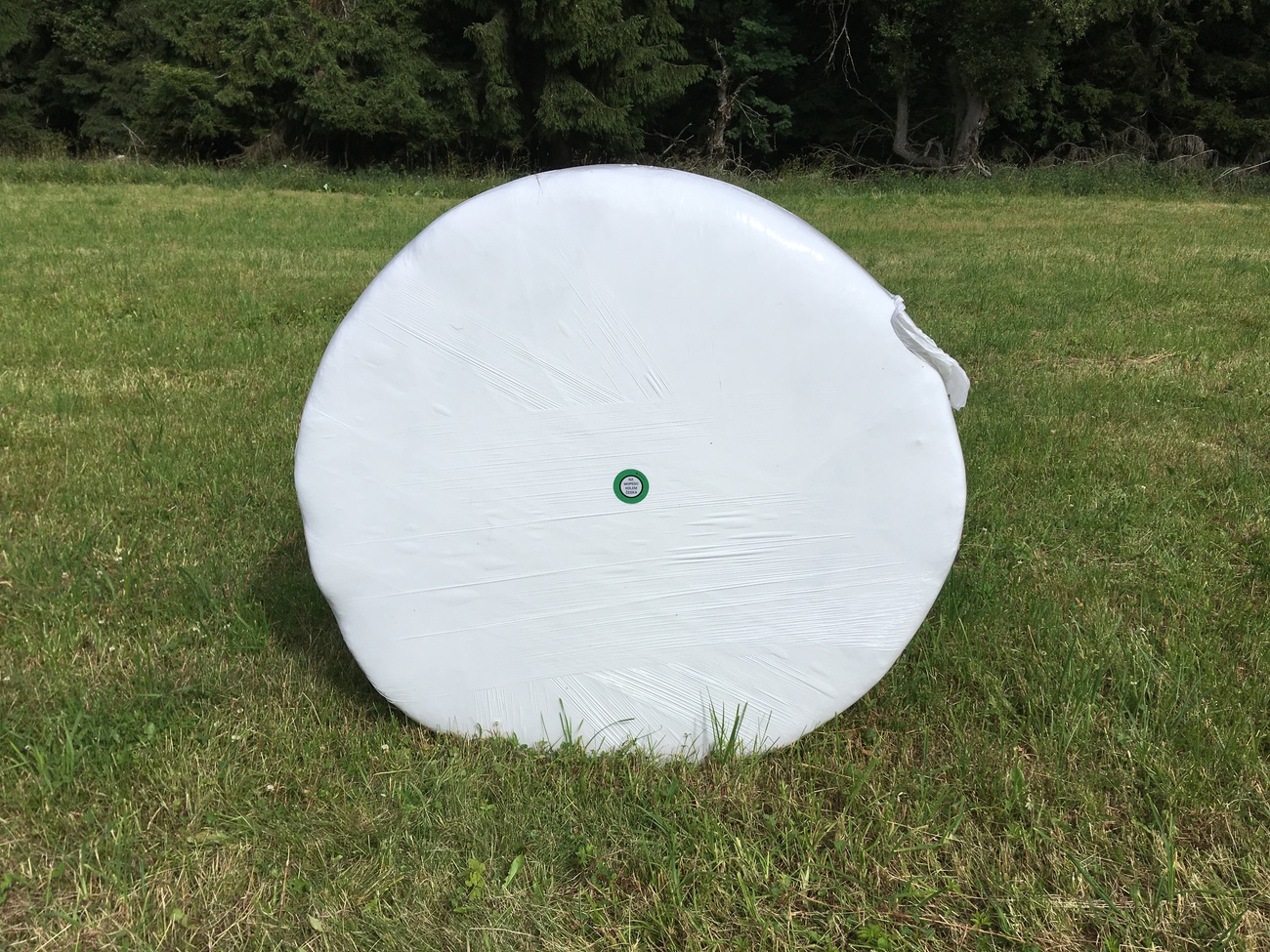 Díky důkladné propagaci se o tripu dozví každá kráva.