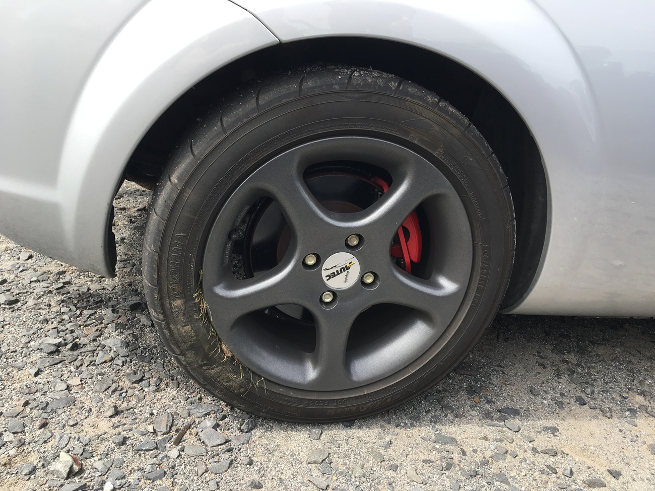 Prej to žere i trávu kolem silnice