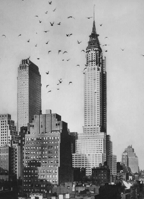 Foto: mrakodrapy.com