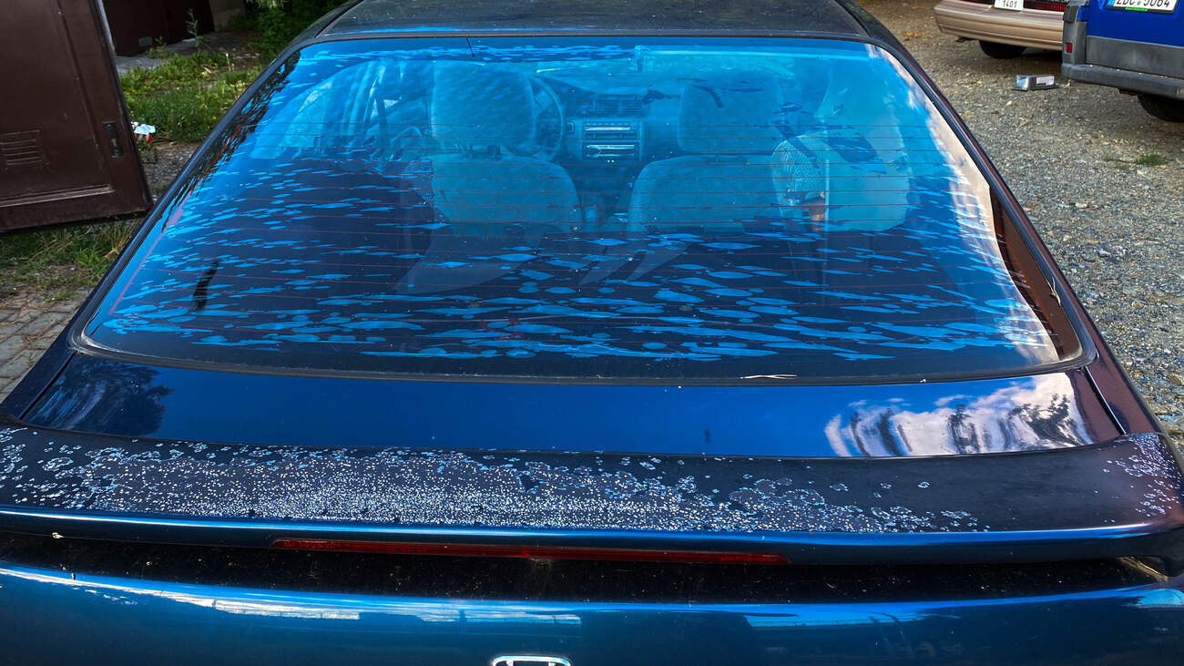 foto: František Čáslavský, autickar.cz