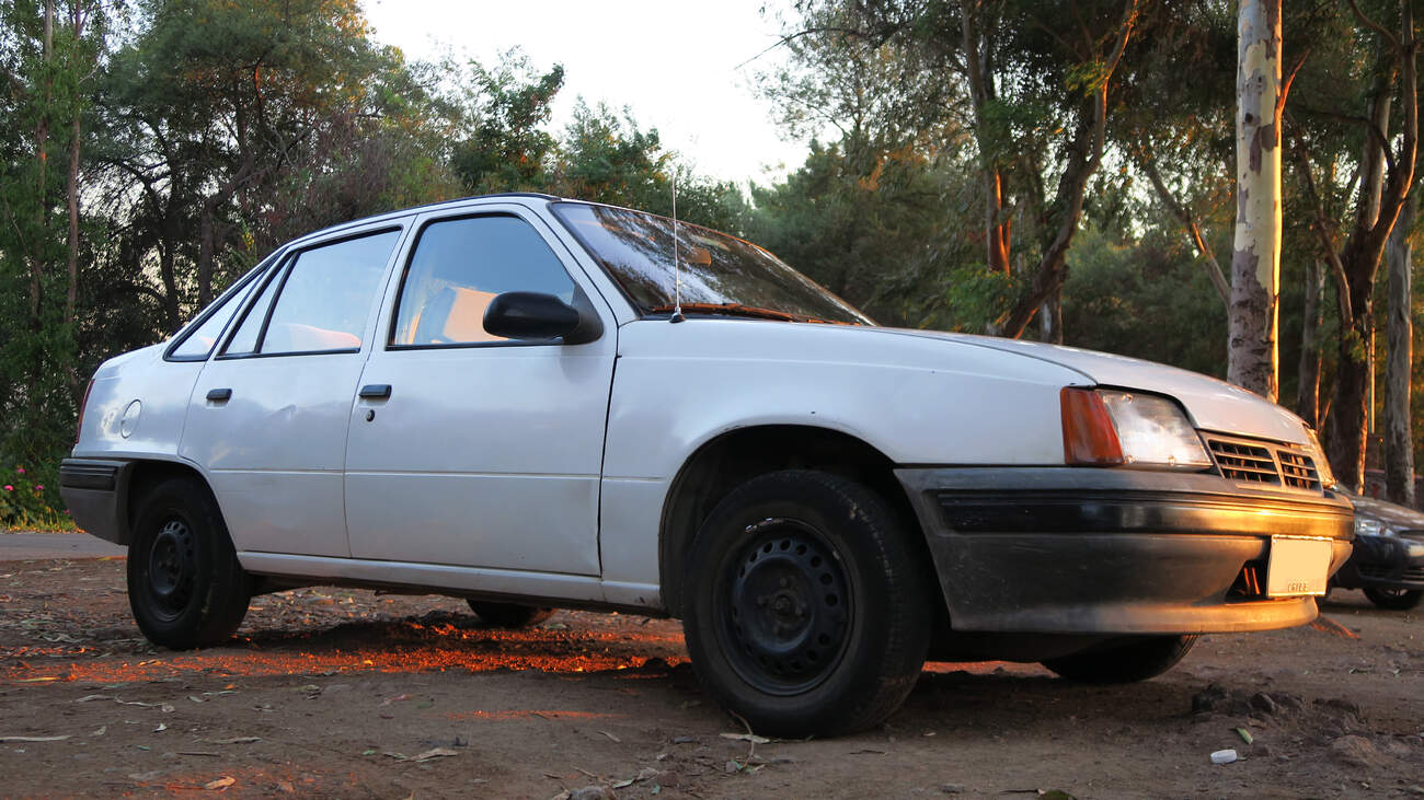 foto: Wikimedia Commons, RL GNZLZ, CC-BY-SA-2.0