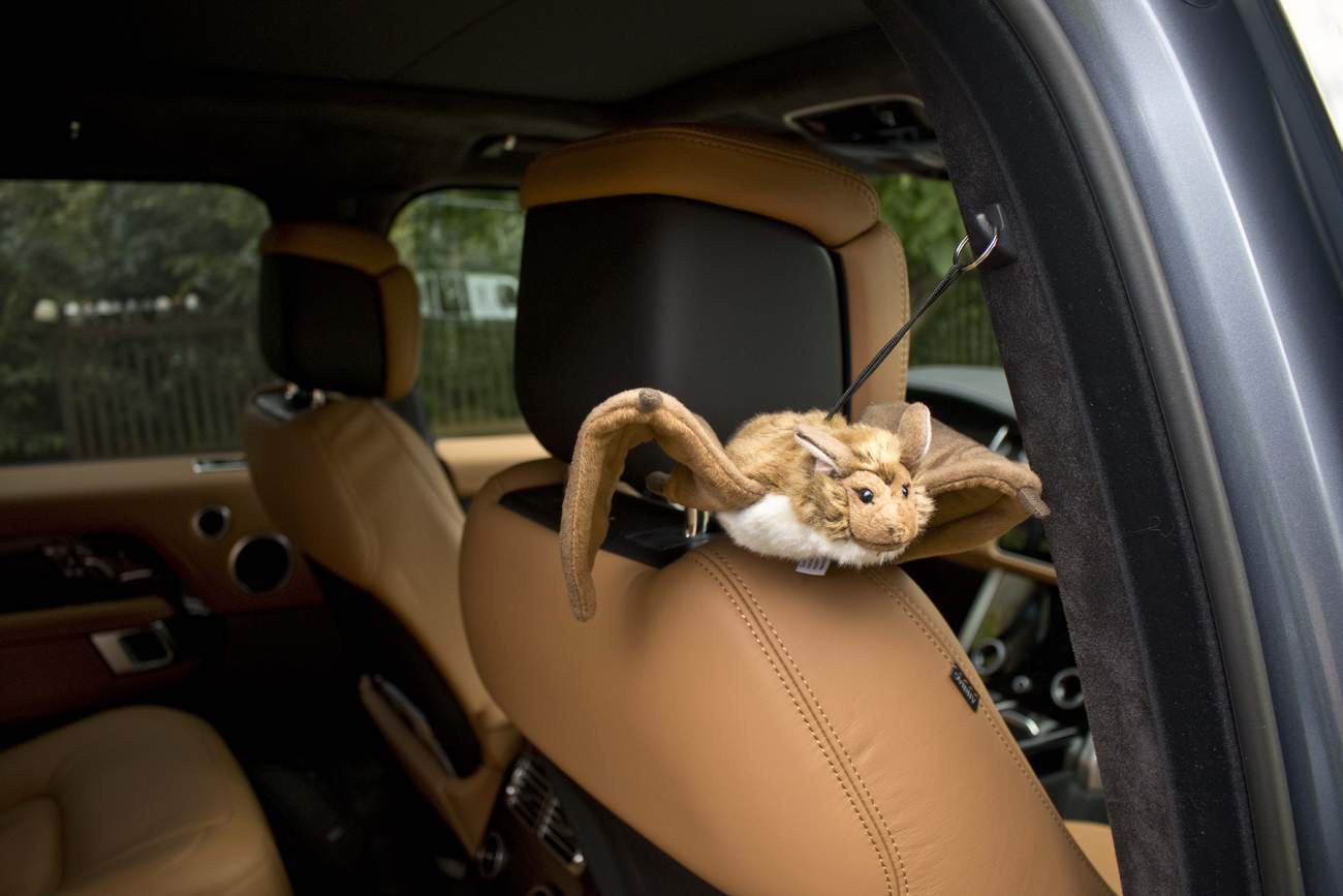 Foto: Viola Procházková, Autíčkář.cz