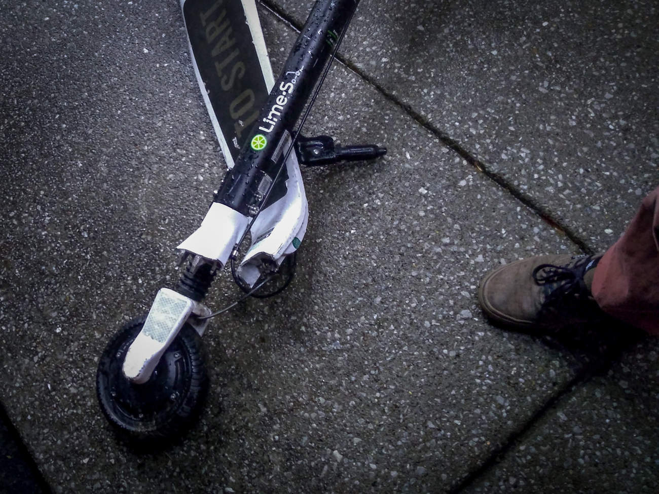 foto: EvasiveMobile, wikimedia commons