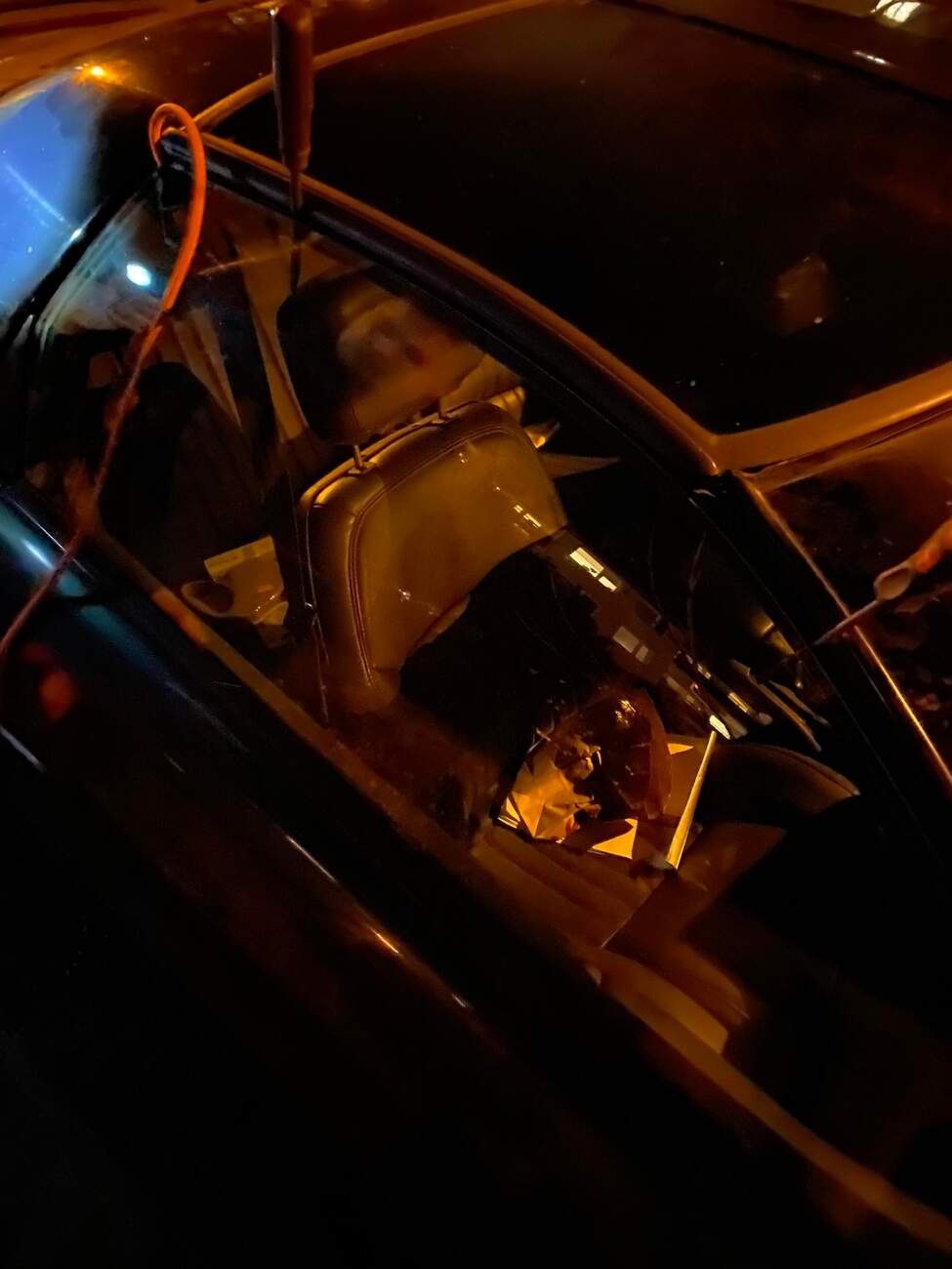 foto: Jeden z mých vážených kolegů, autickar.cz