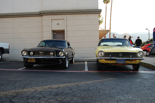 mustang and pinto mustang and pinto