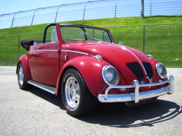 newman bug V8